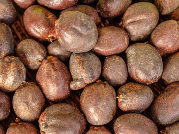 ماذا تعرف عن فاكهة الدوم؟