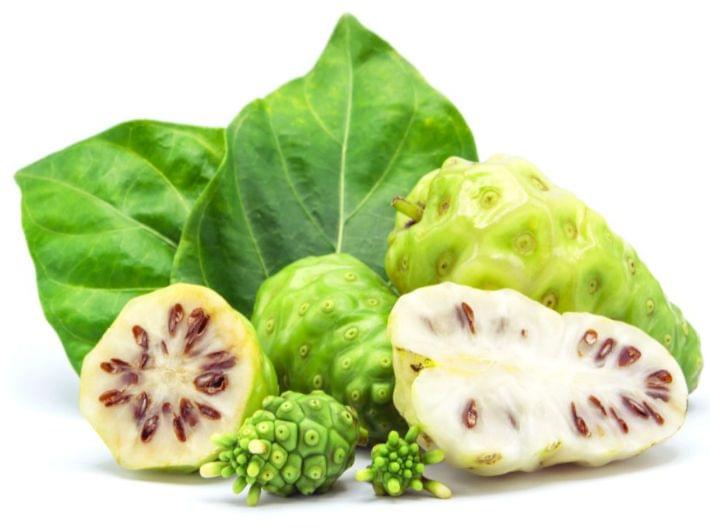 فاكهة النوني