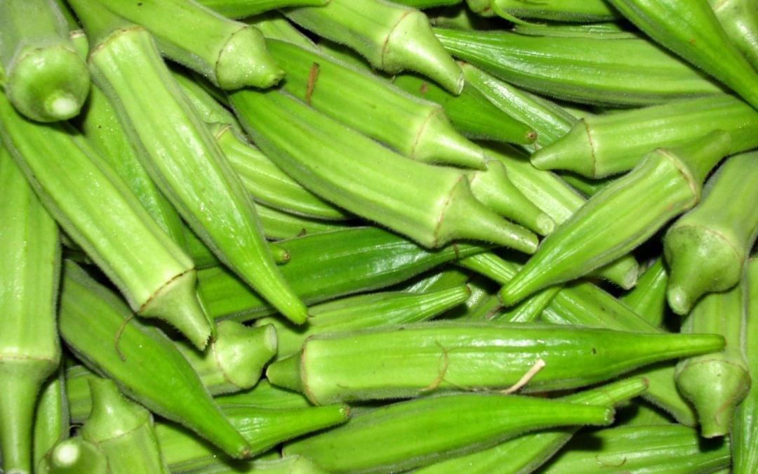 كل ما يهمك حول زراعة البامية الهندية