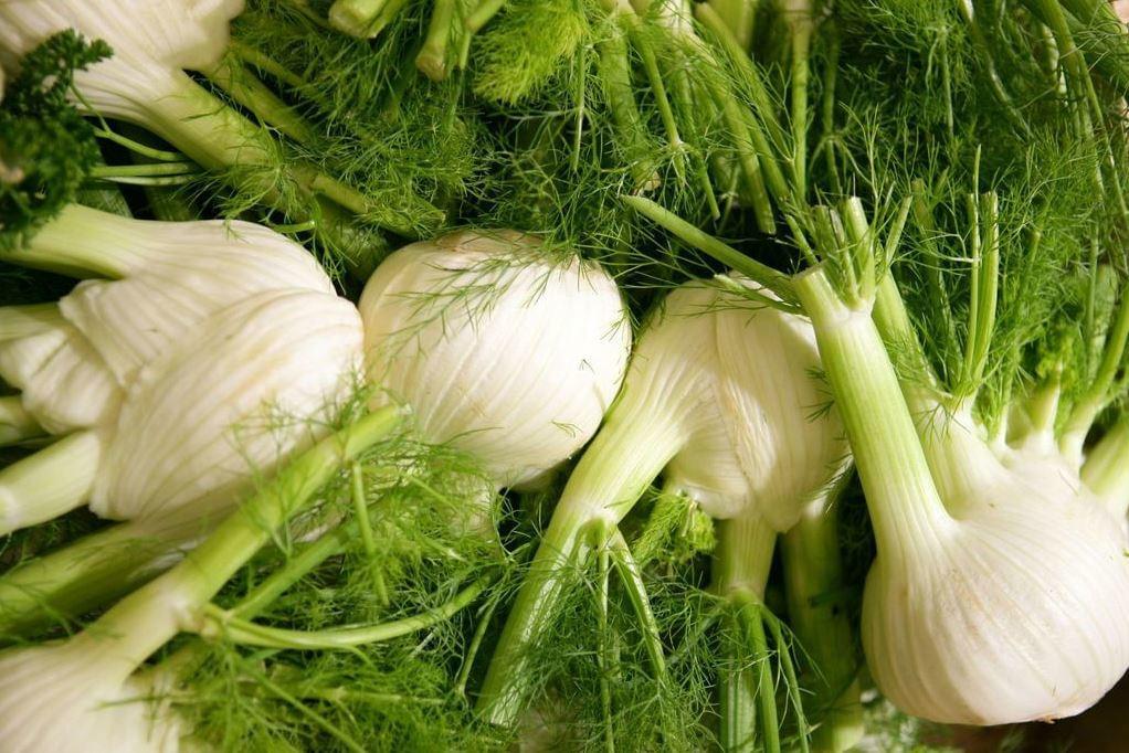 لماذا تعتبر زريعة البسباس مفيدة؟ تعرف على الأسباب